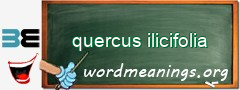 WordMeaning blackboard for quercus ilicifolia